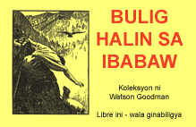 BULIG HALIN SA IBABAW